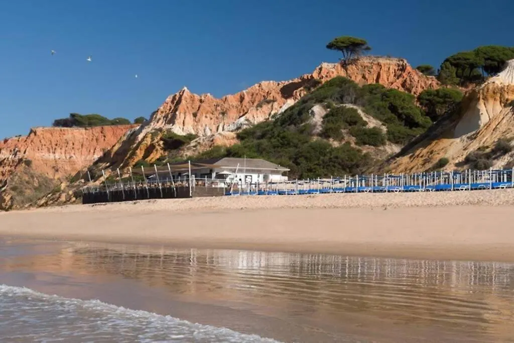 Apartment Pool And Garden Village-Near Beach Albufeira